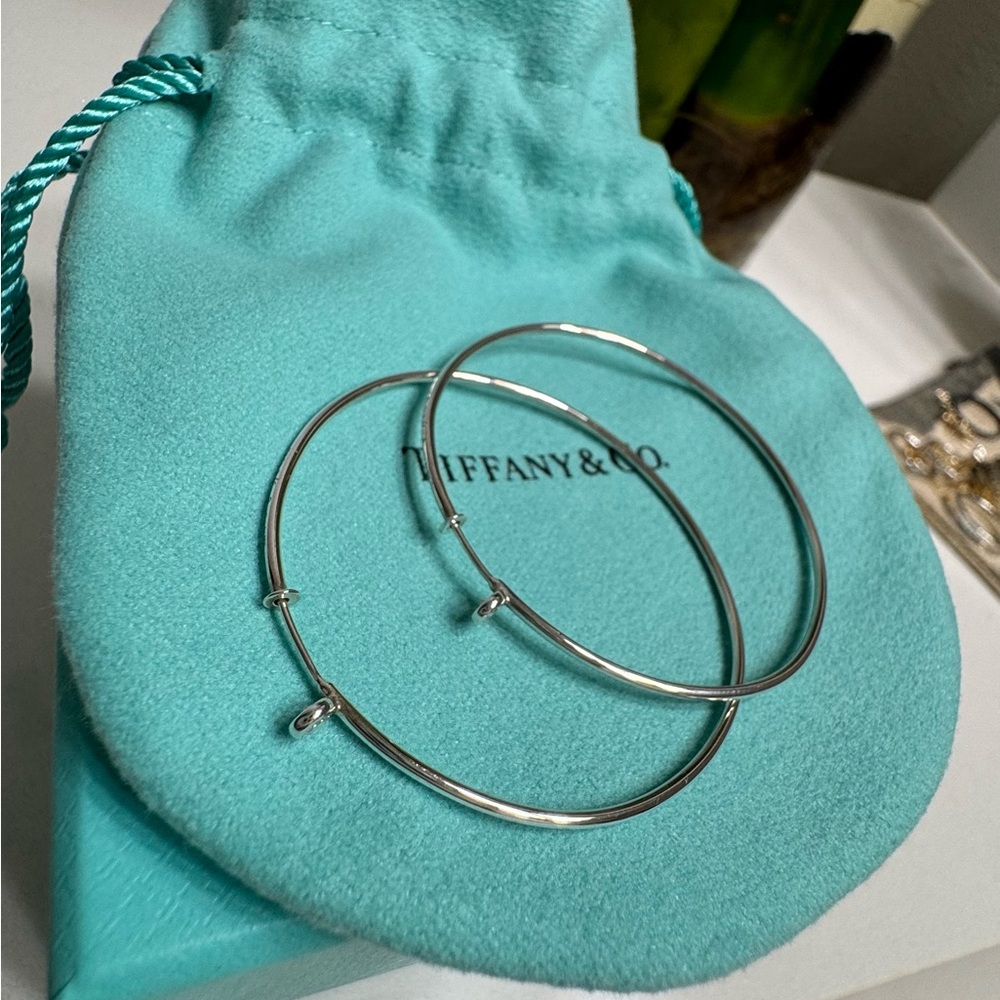 Tiffany & Co. Silver Diamond Hoop Earrings